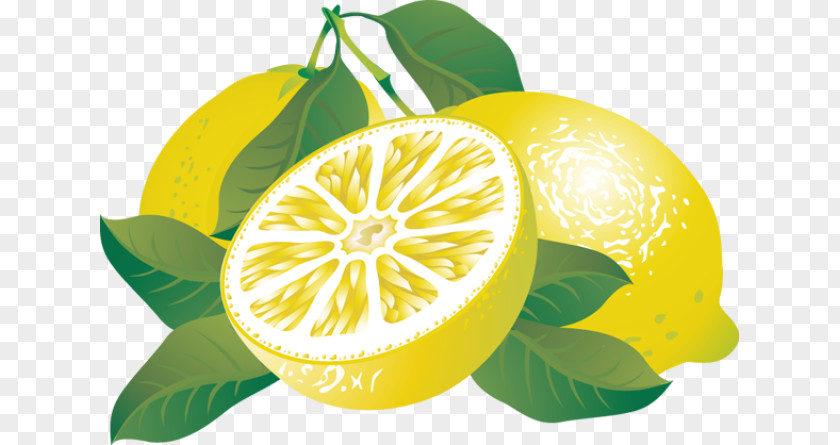 Citrus Cliparts Lemon Free Content Clip Art PNG