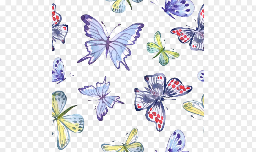 Creative Butterfly PNG