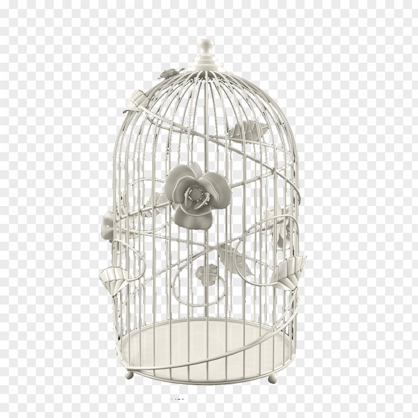 Figured Iron Cage Euclidean Vector PNG