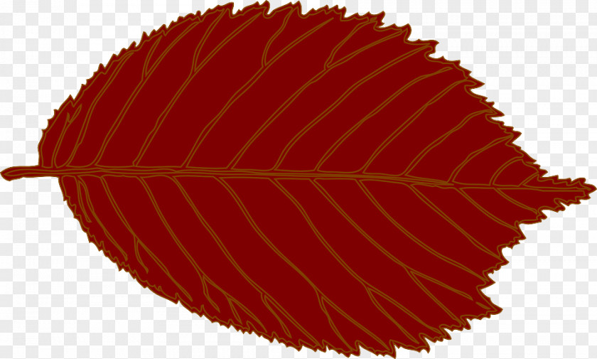 Flower Tree Drawing PNG