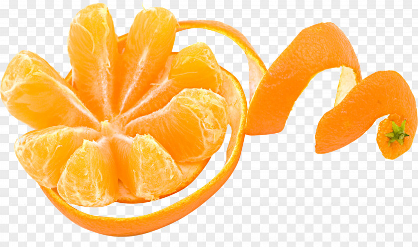 Orange Euclidean Vector Mandarin Effervescent Tablet PNG