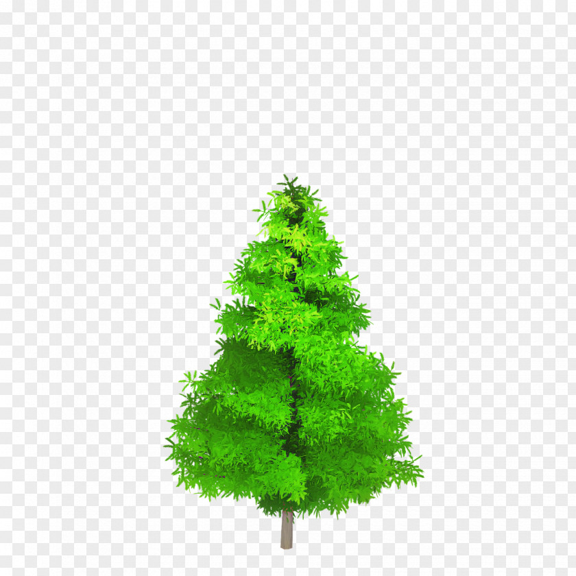 Plant Leaf Christmas Tree PNG