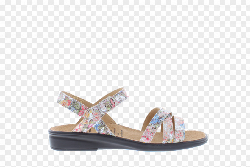 Sandal Shoe PNG