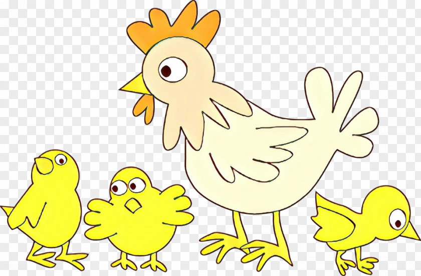 Chicken Clip Art Cartoon Image Poultry PNG