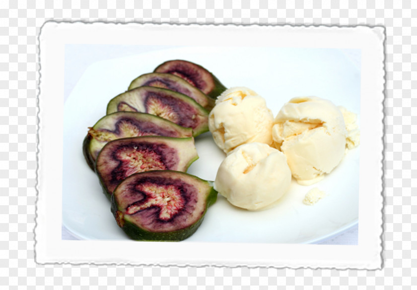 Fig Printing Ice Cream Makers Sorbet Recipe PNG