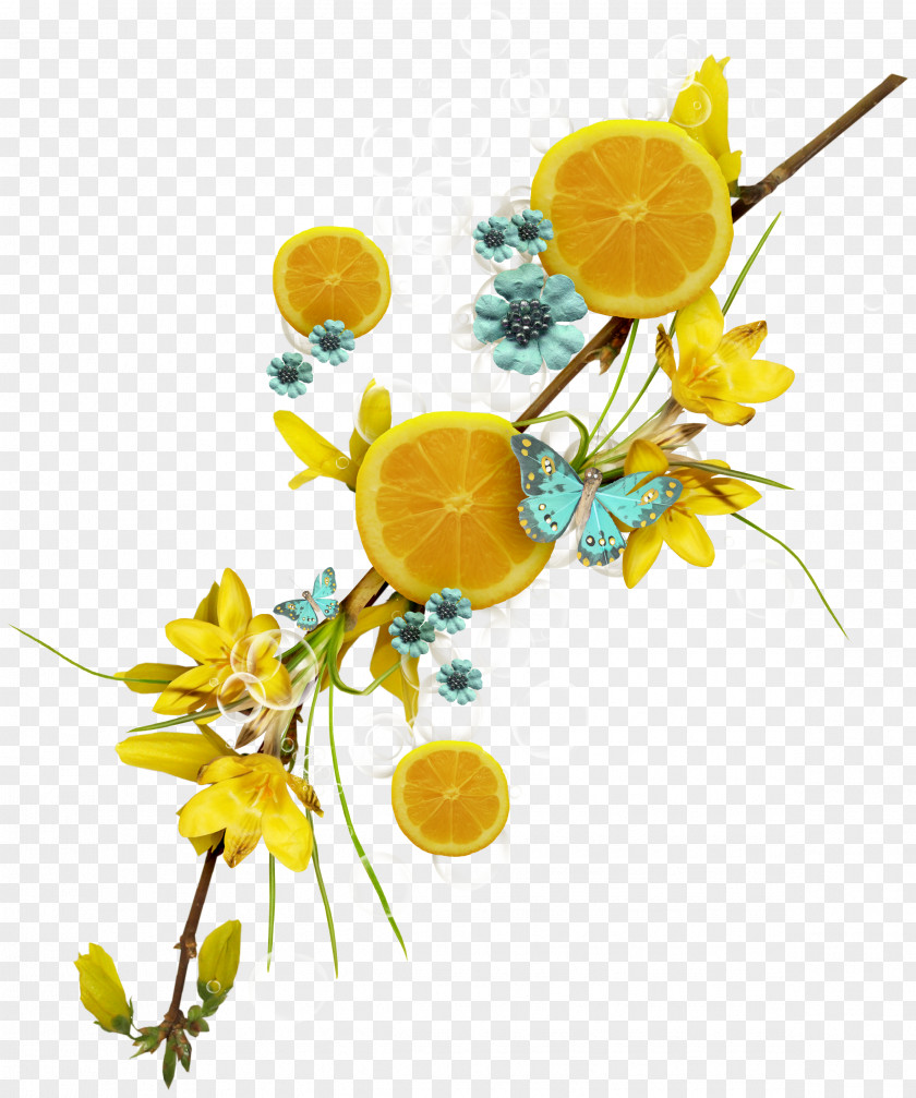 Lemon Lace Lemon-lime Drink Auglis Pepper Fruit PNG