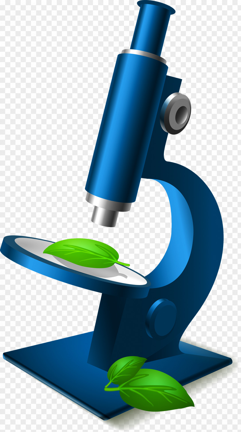 Microscope Euclidean Vector Clip Art PNG