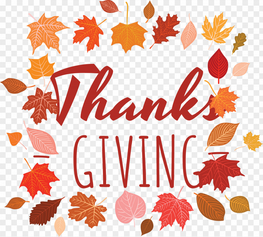 Thanks Giving Thanksgiving Harvest PNG