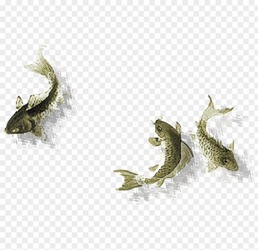 Three Fish Decorative Elements Download PNG