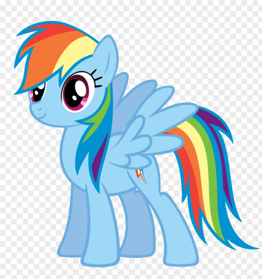 Vector Pupils Rainbow Dash Pony DeviantArt PNG