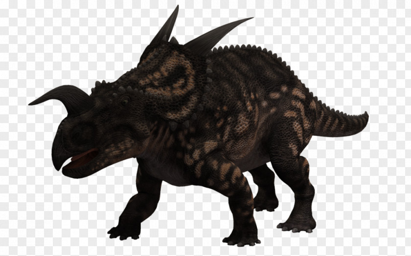 3d Tooth Einiosaurus Dinosaur Triceratops Styracosaurus Ceratopsia PNG