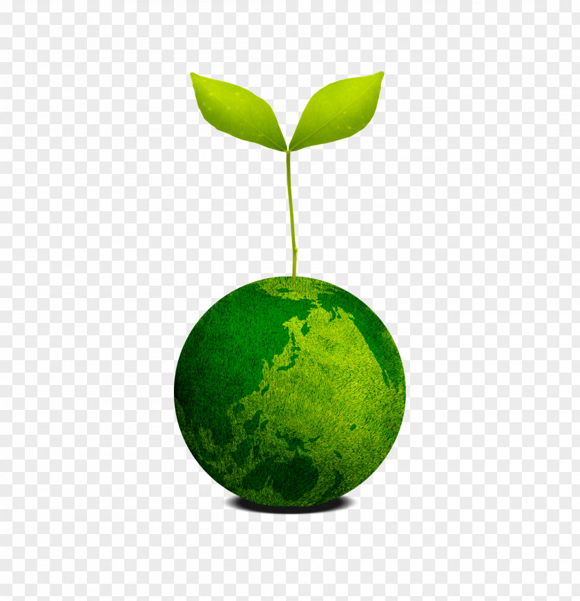 Arbor Day Creative PNG