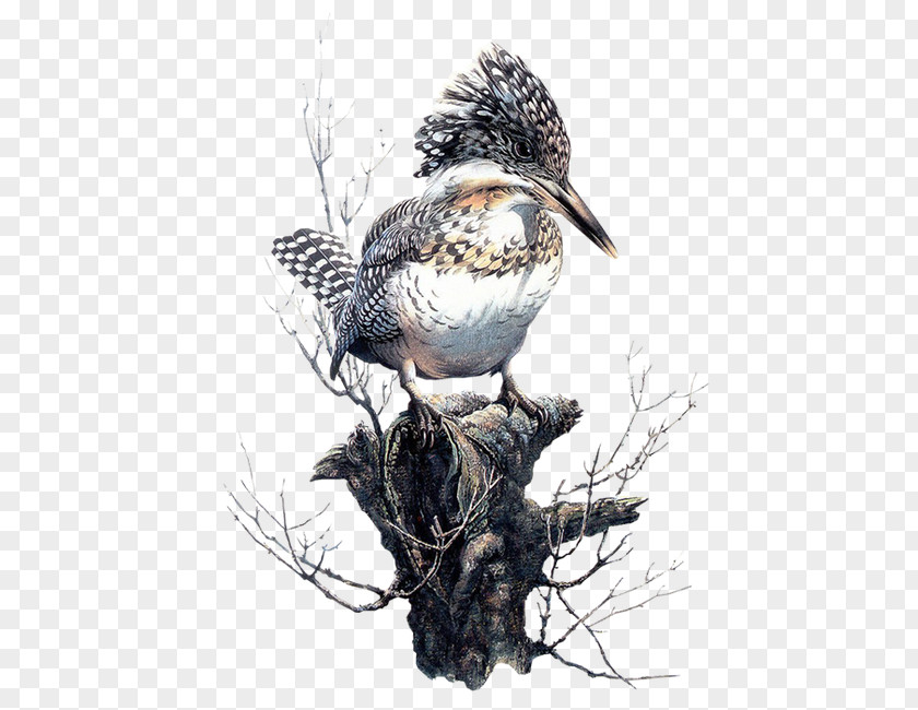 Birds Dead Wood On The Pier Bird Painting Painter Art Illustration PNG