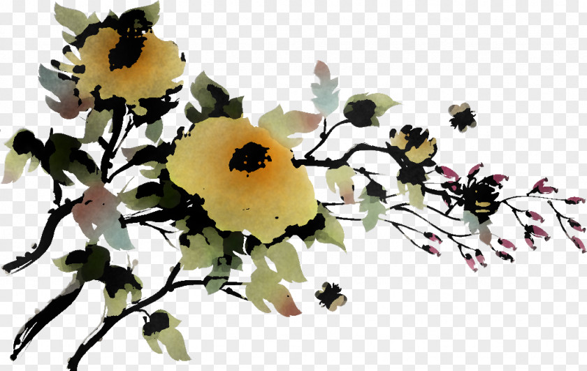 Chrysanthemum Chrysanths PNG