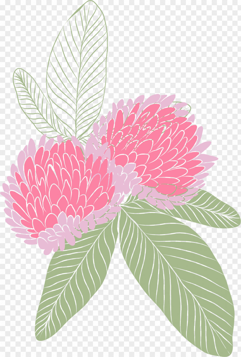Flower Pattern Elements PNG