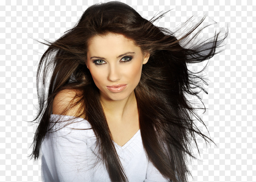 Hair Transplantation Beauty Parlour Care Hairdresser PNG