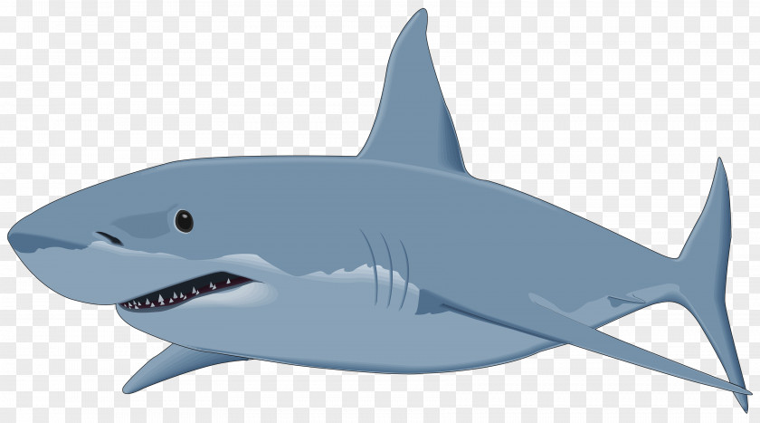 Scuba Great White Shark Isurus Oxyrinchus Clip Art PNG
