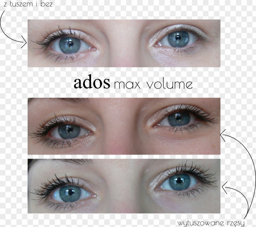Suo Eyelash Extensions Eye Shadow Liner Mascara Lip PNG
