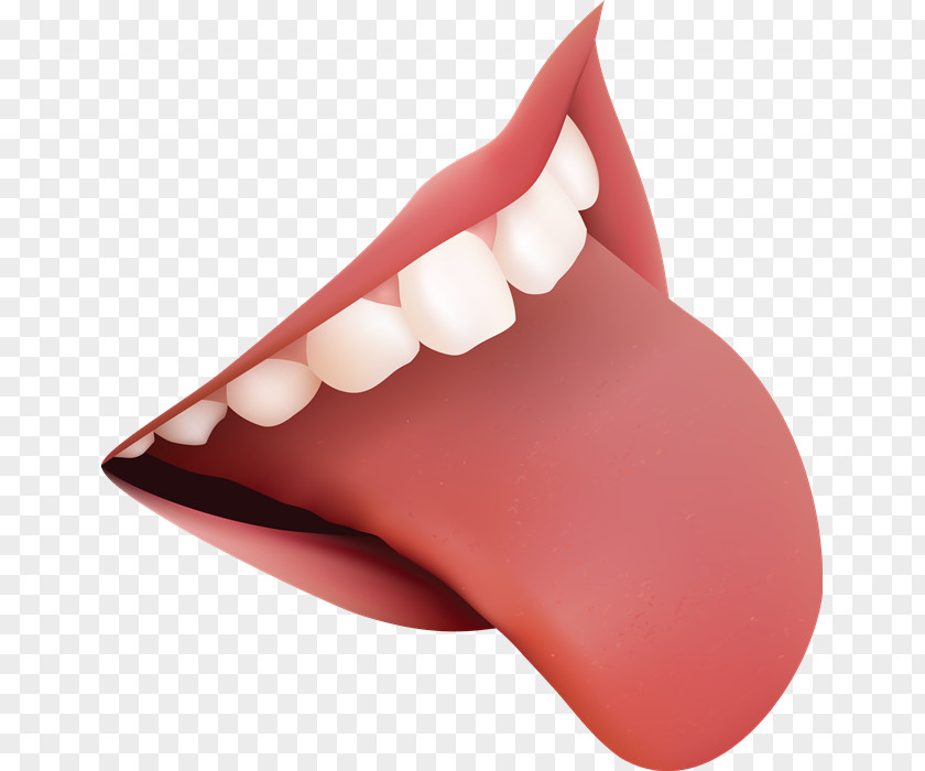 Tongue Clip Art Anatomy Taste Bud PNG
