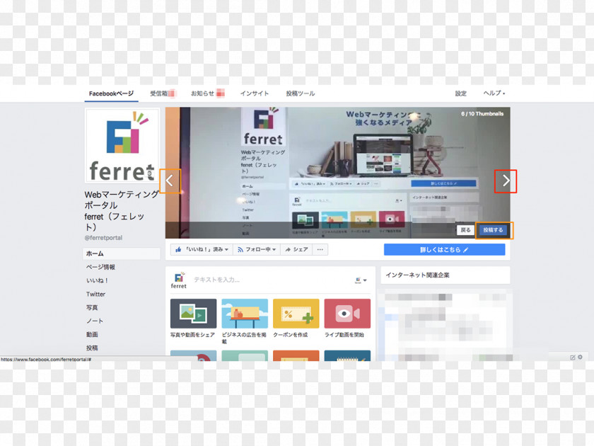 Ferret Facebook Social Media Reach Photography Marketing PNG