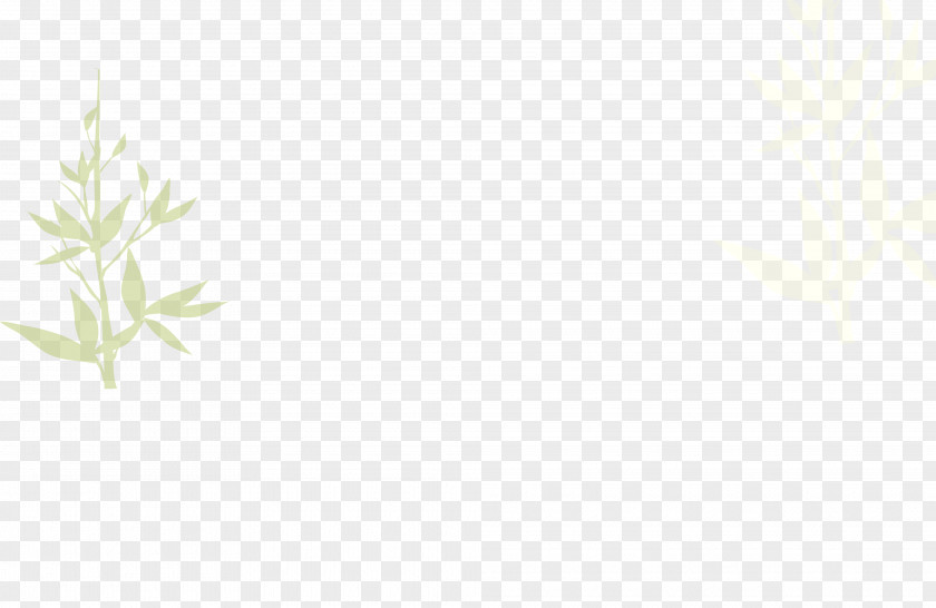 Green Bamboo White Charm Bracelet Jewellery Pattern PNG