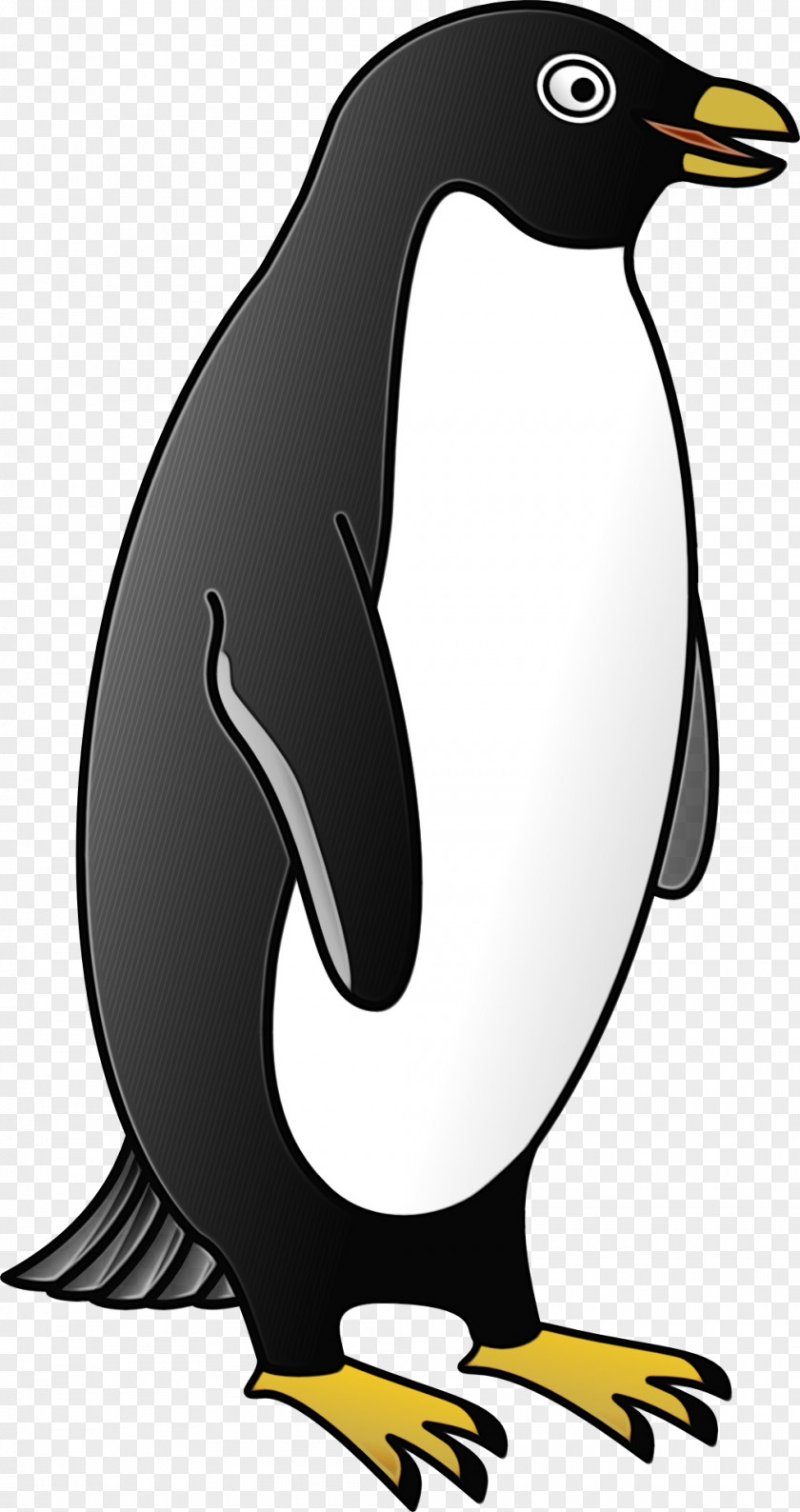 Blackandwhite Tail Penguin PNG