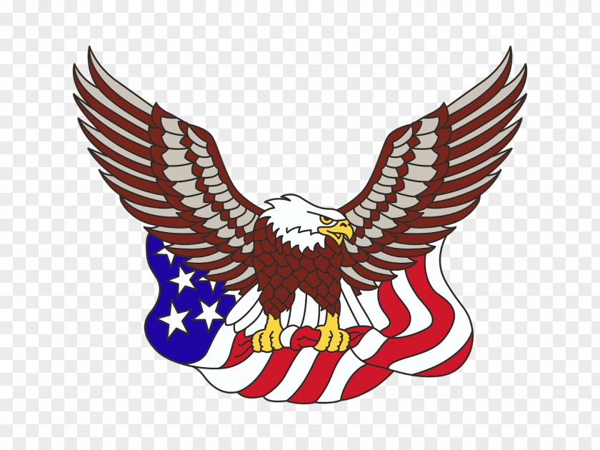 Eagle Bald United States Of America Flag The Clip Art PNG
