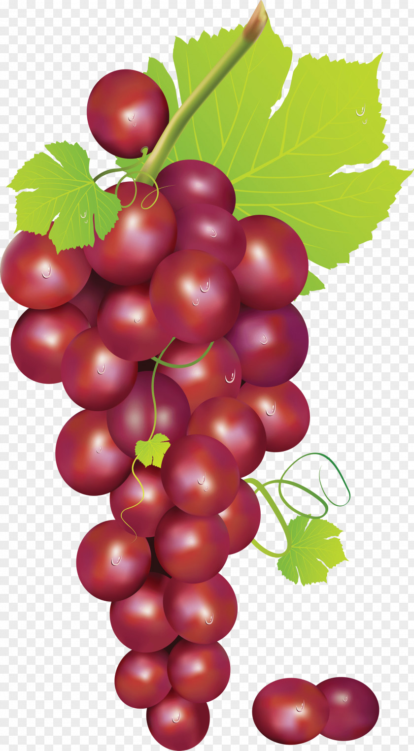 Grape Image Clip Art PNG