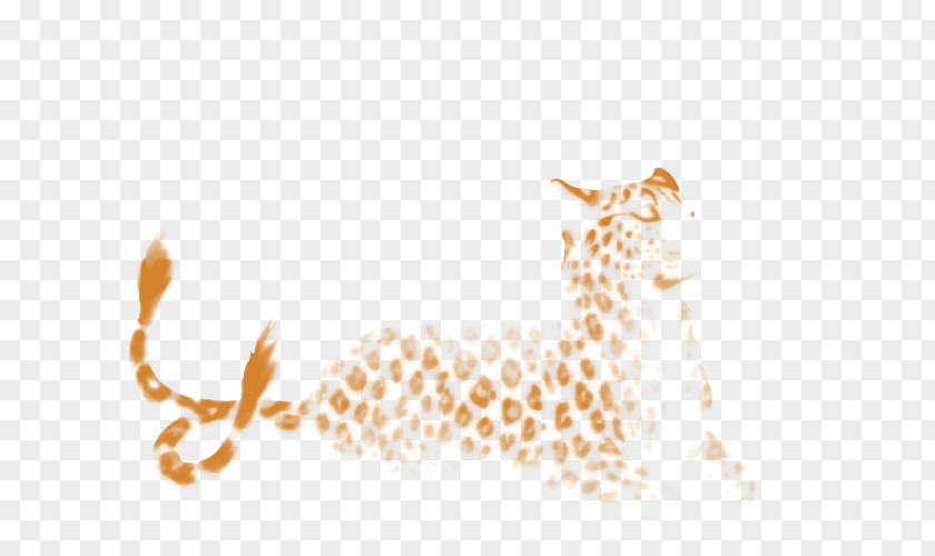 Leopard Giraffe Felidae Lion Cheetah PNG
