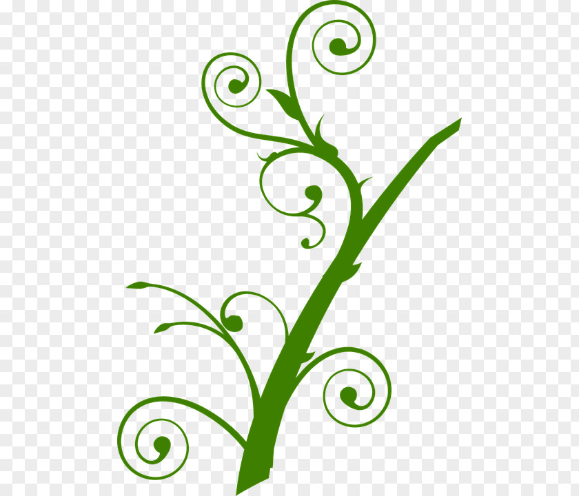 Maiz Branch Tree Drawing Clip Art PNG