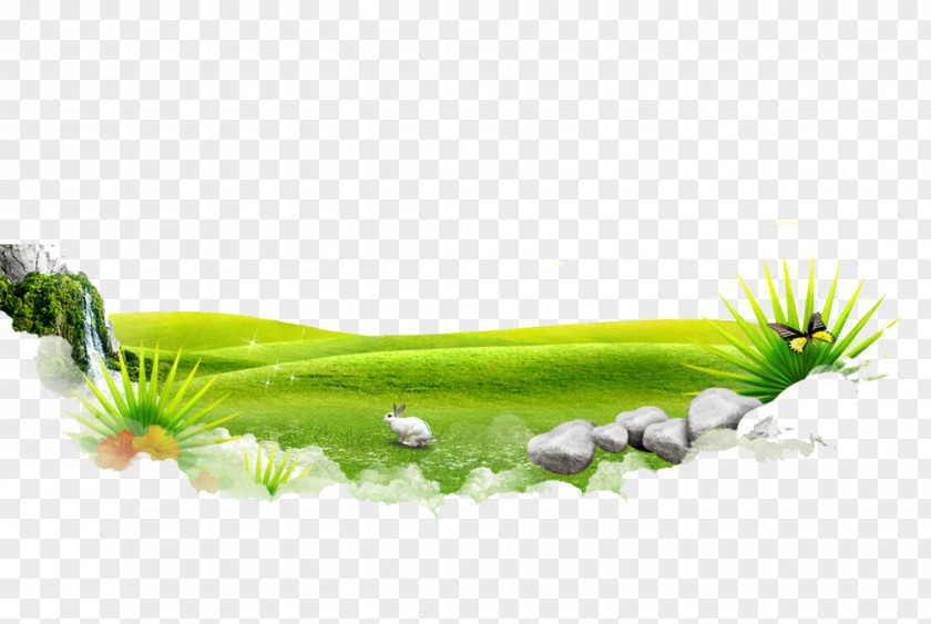 Plant Seed Cots Meadow Image Bed PNG