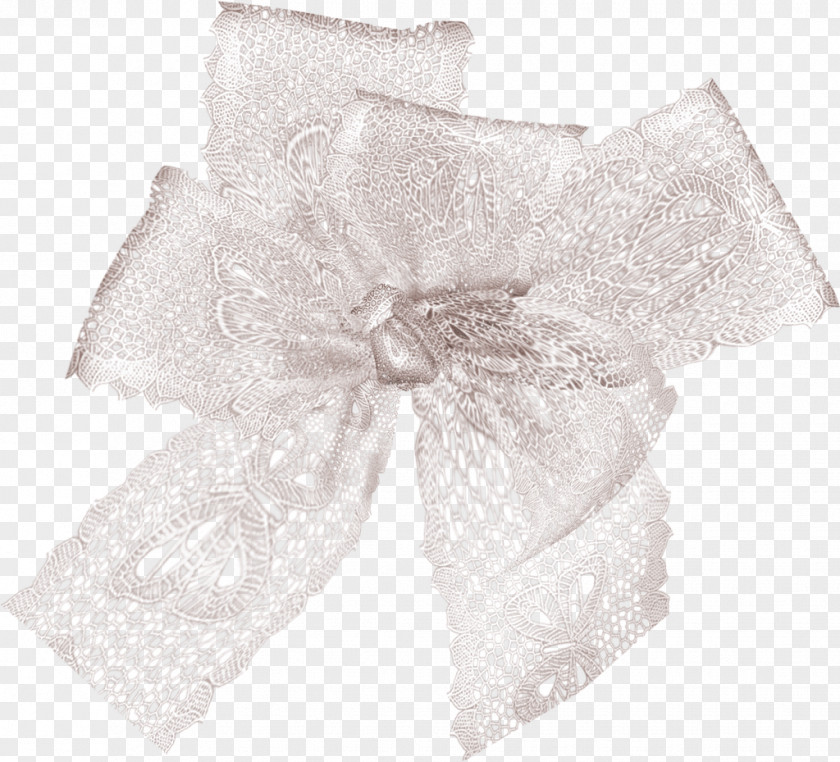 Ribbon Lace Knot Clip Art PNG