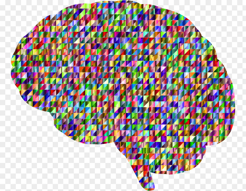 Skull Human Brain Clip Art PNG