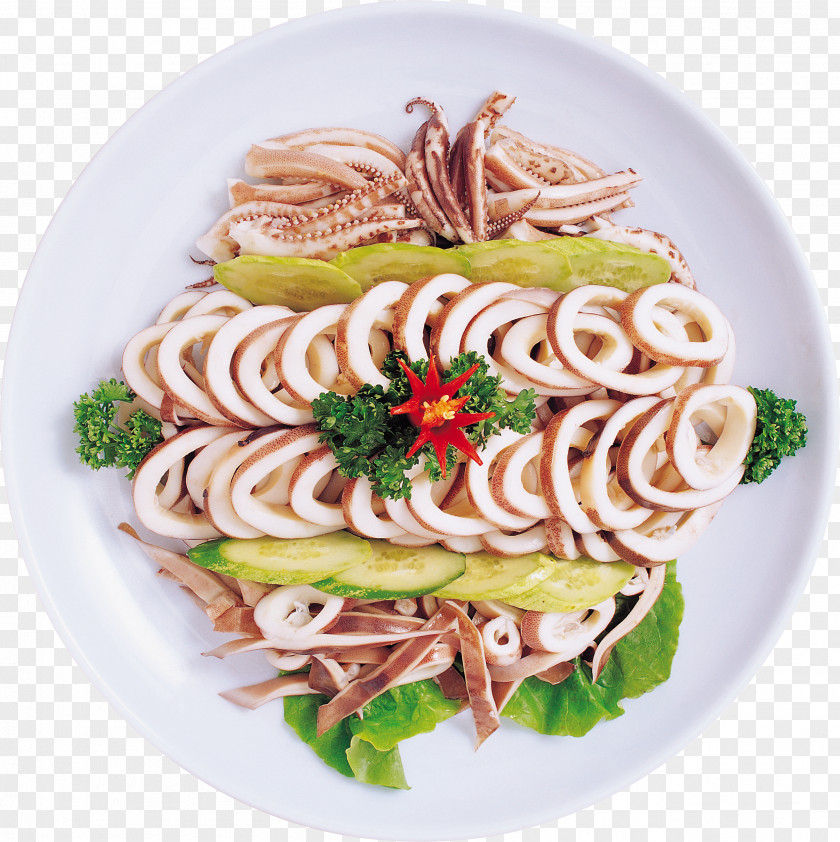 Squid As Food Caridea Unagi Salad PNG