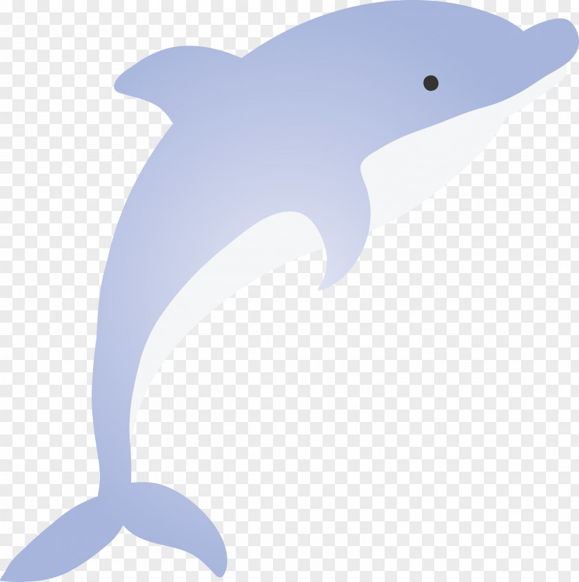 Bottlenose Dolphin Cetacea Fin Animal Figure PNG