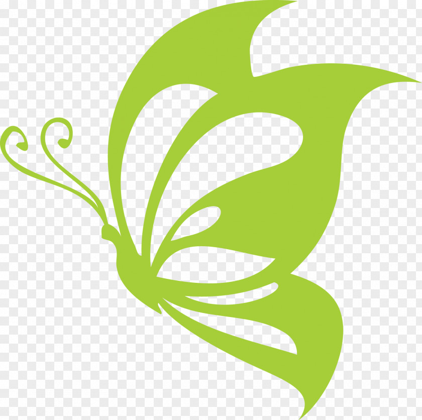 Butterfly Green Sticker PNG , clipart PNG