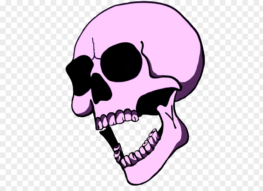 Mouth Nose Skull Drawing PNG