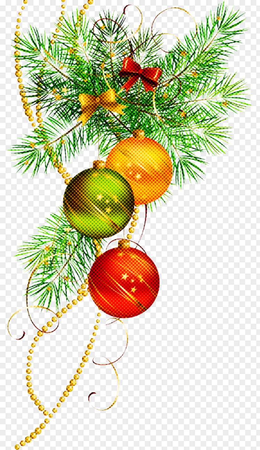 Ornament Interior Design Christmas And New Year Background PNG