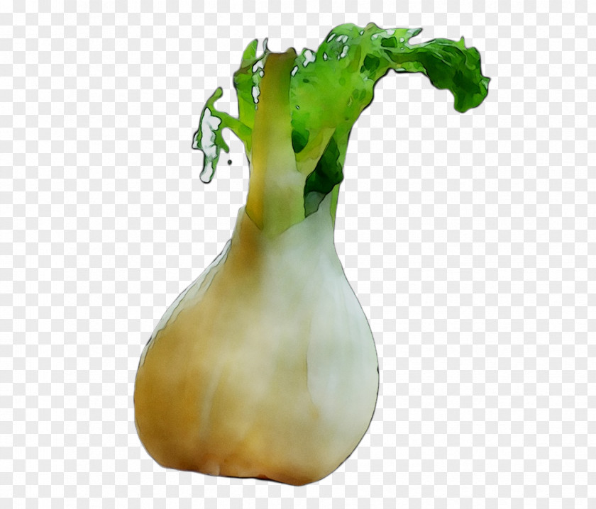 Vegetable Vase PNG