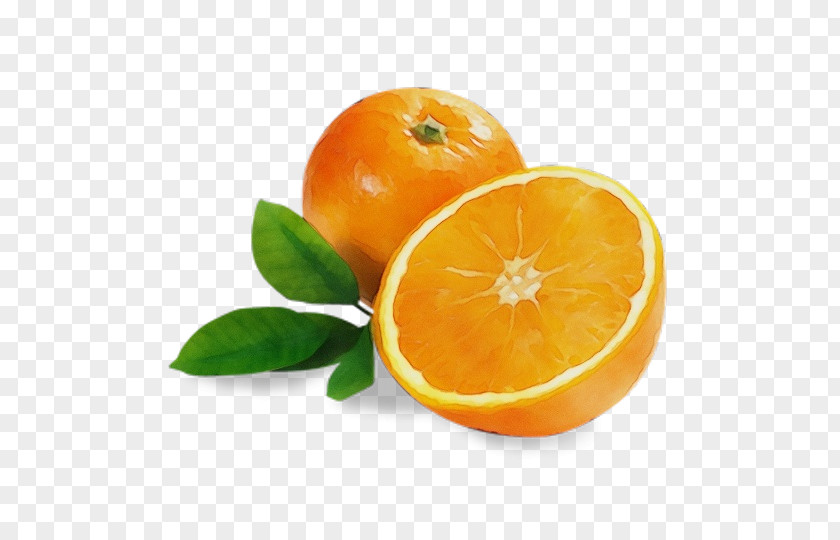 Bitter Orange Rangpur PNG