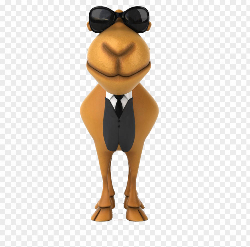 Camel With Sunglasses Drawing Royalty-free Illustration PNG