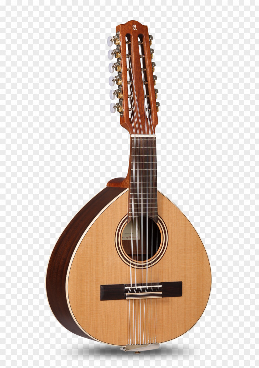 Classical Rosette Round Bandurria Acoustic Guitar Lute PNG