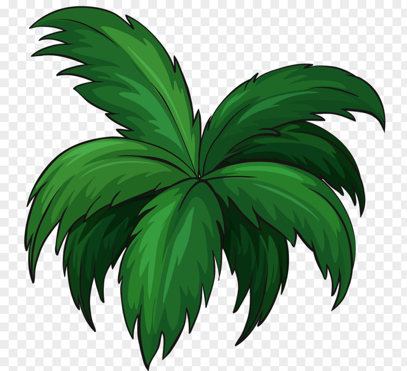 Green Plants Shore Coconut Vector Graphics Beach Palm Trees PNG