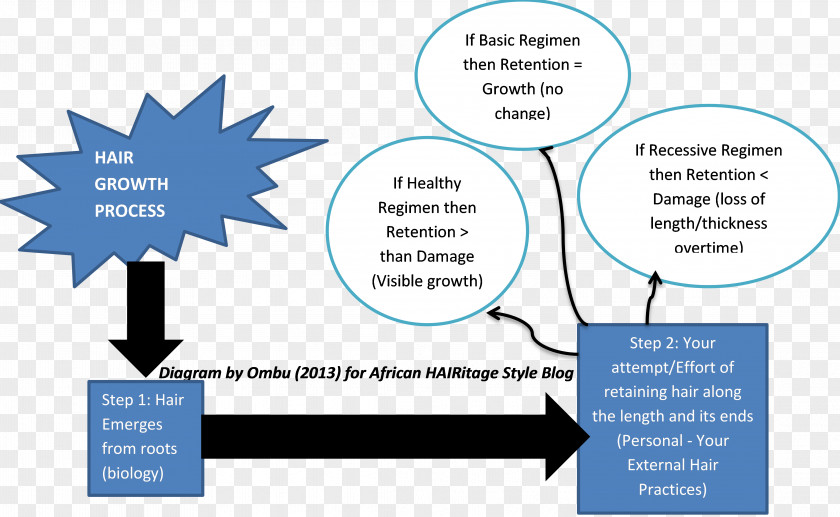 Growth Process Information Reactive Oxygen Species K.H. ENTERPRISE (MIRI) SDN BHD Diagram Business PNG
