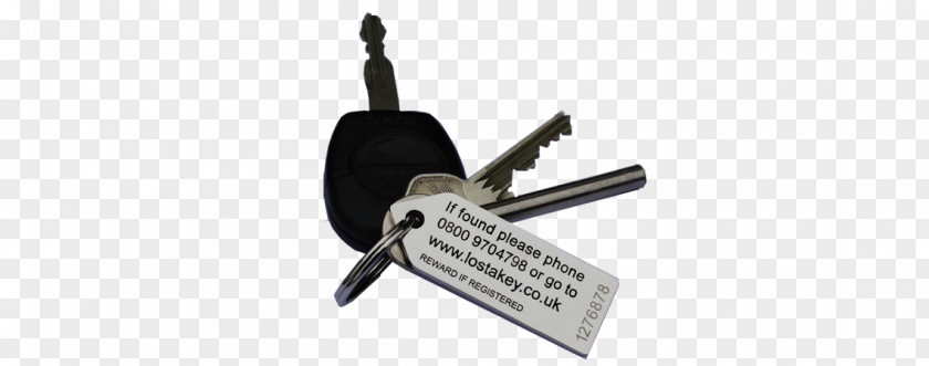 Lost Keys Information The Auto Locksmith Keyring Car Key Image PNG