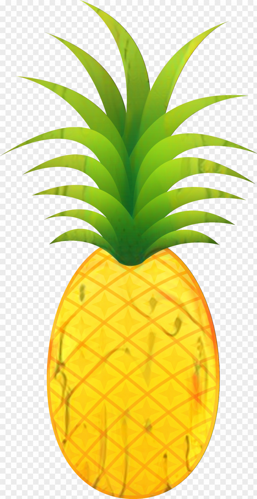 Pineapple Clip Art Image Transparency PNG