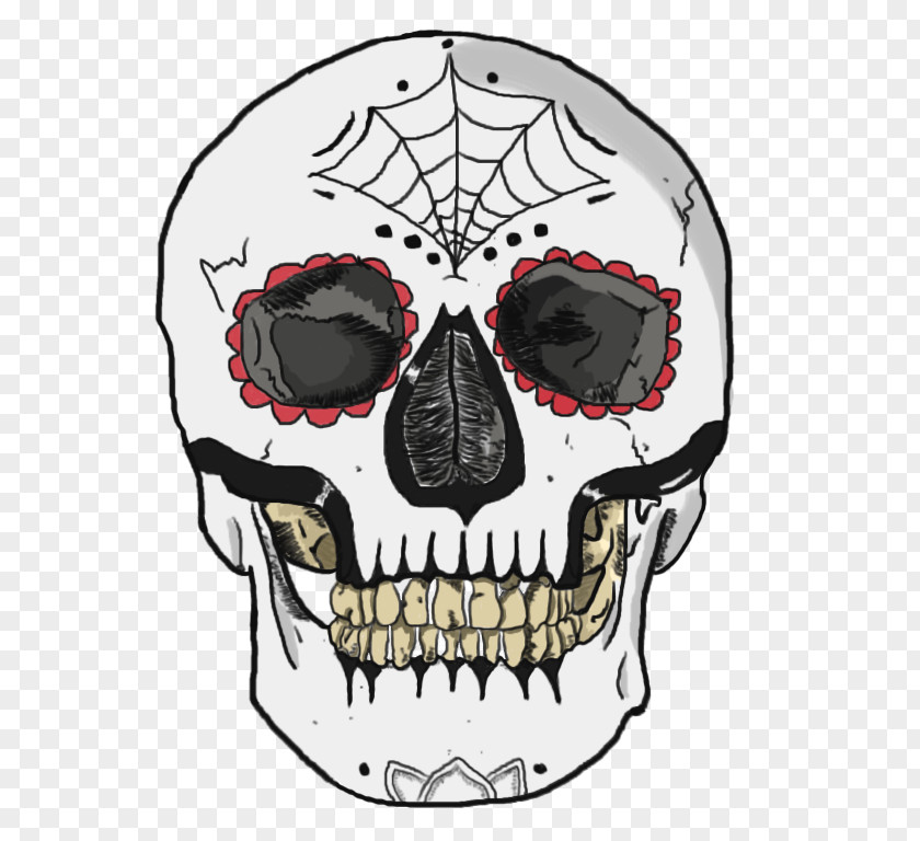 Skull Human Symbolism Logo PNG