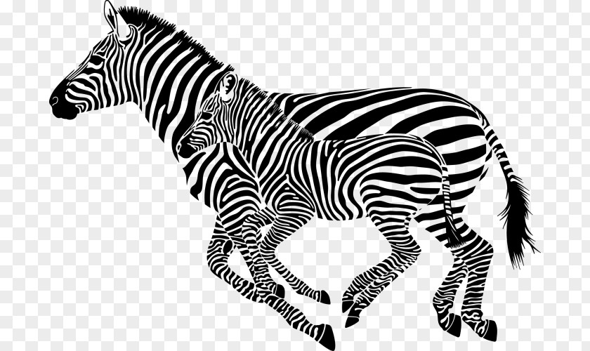 Zebra Cdr Clip Art PNG