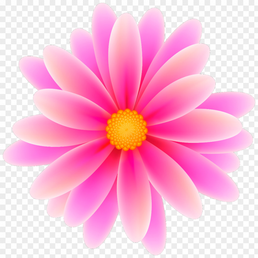 Flower Pink Flowers Desktop Wallpaper Clip Art PNG