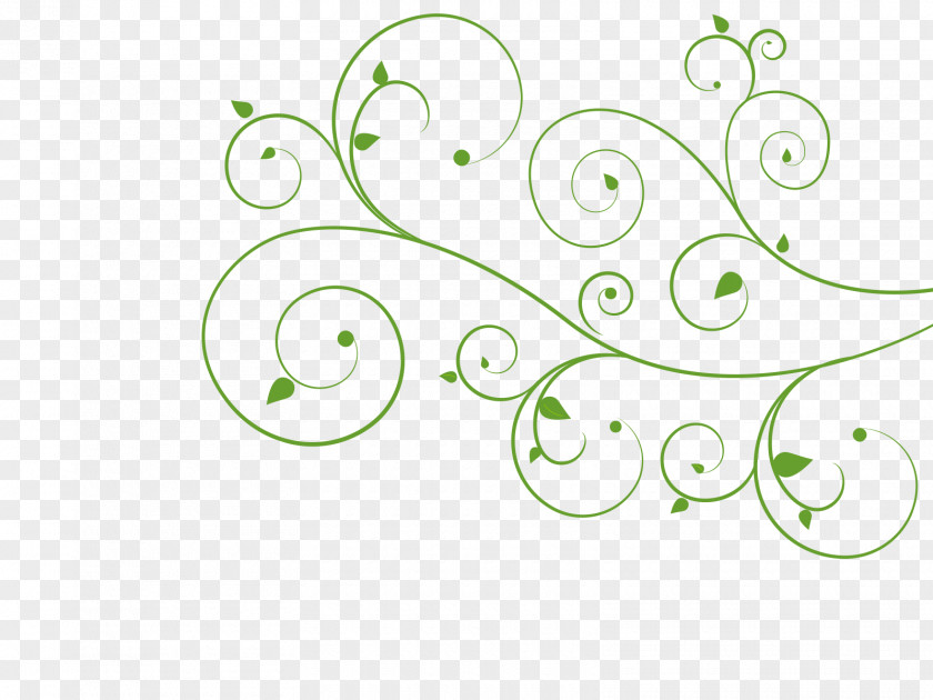 Flower Vine Illustrator Clip Art PNG